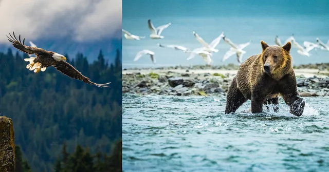 5 Unique Photography Experiences to Have in Alaska