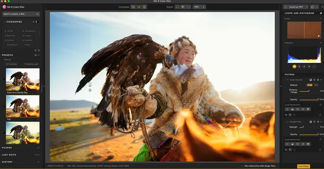 A person in traditional attire holds a large bird of prey, possibly an eagle, on their gloved arm in a sunlit outdoor setting, with image editing…