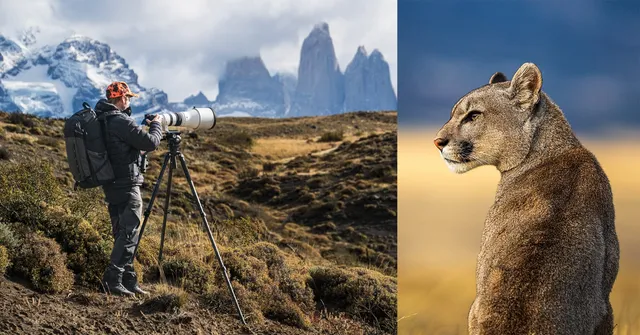 A wildlife photographer with a large camera and tripod photographs a puma in a mountainous landscape with snow-capped peaks and rocky terrain. The puma…