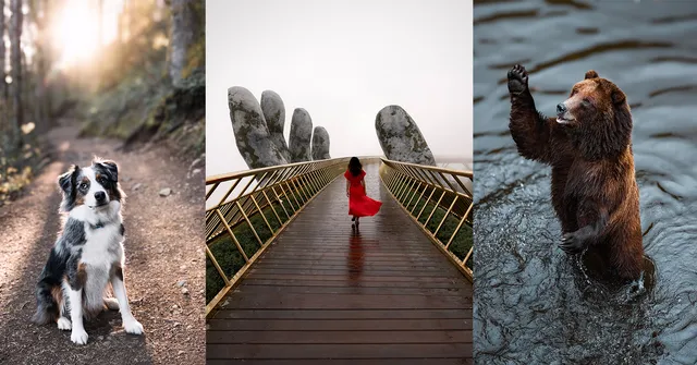A collage of three images: a dog sitting on a forest trail, a person in a red coat walking on a bridge with large hand sculptures, and a bear standing in…