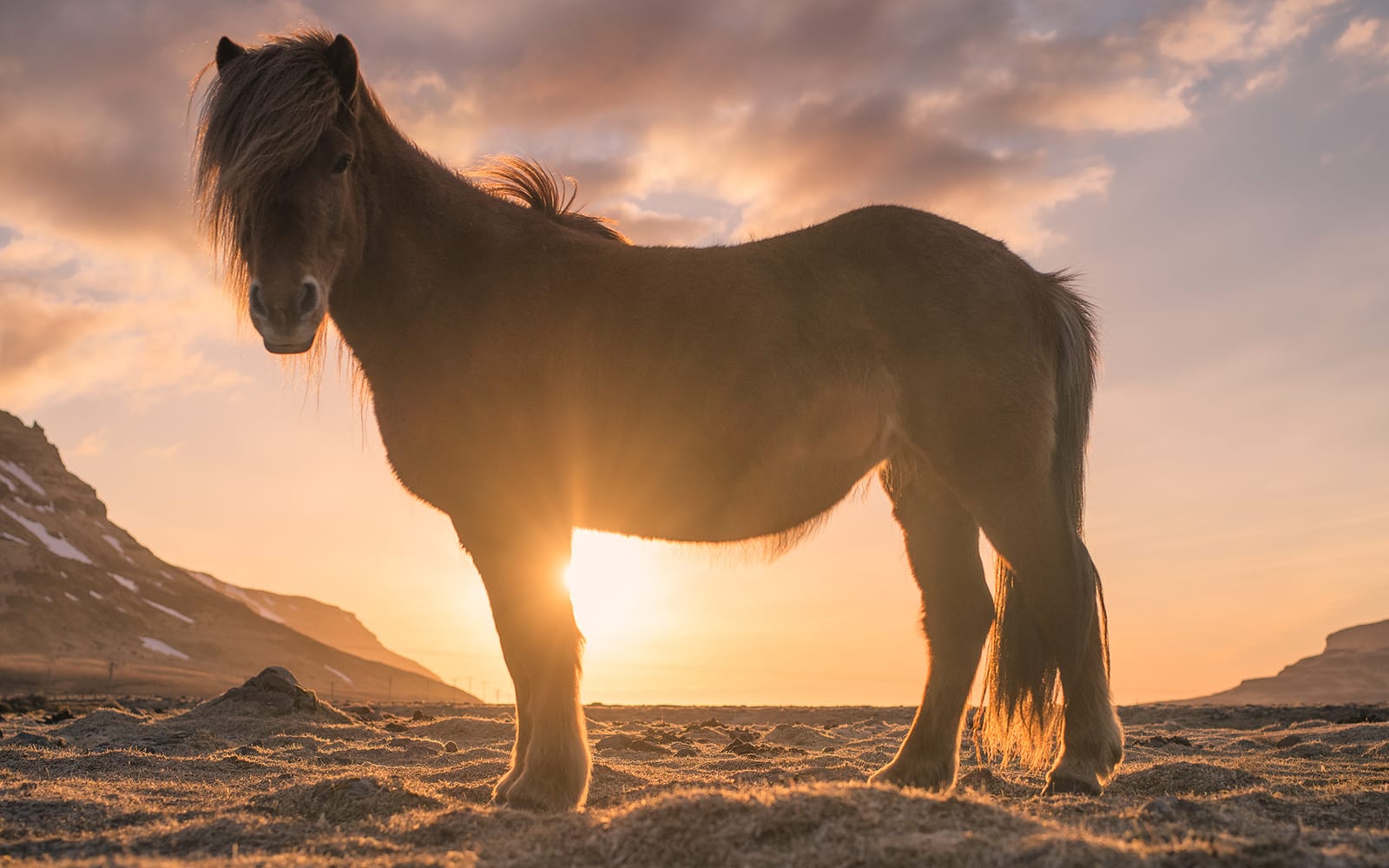 500px Iceland 19