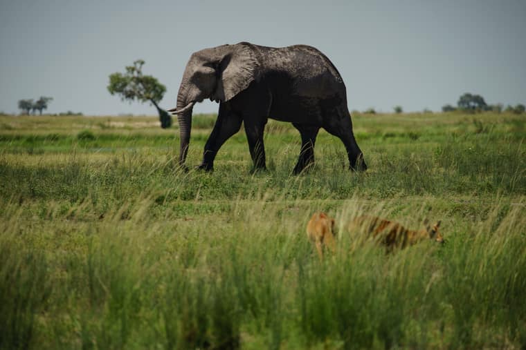 Lonely Planet's Top 10 Countries To Visit in 2016