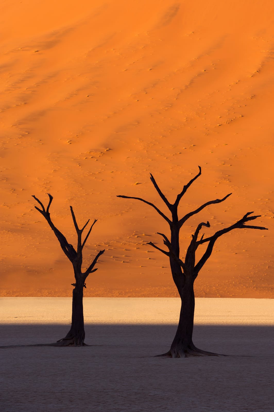 Namibia Dead Vlei