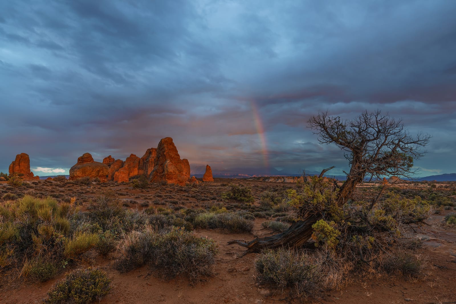 Arches-National-Park-Michael-Bonocore