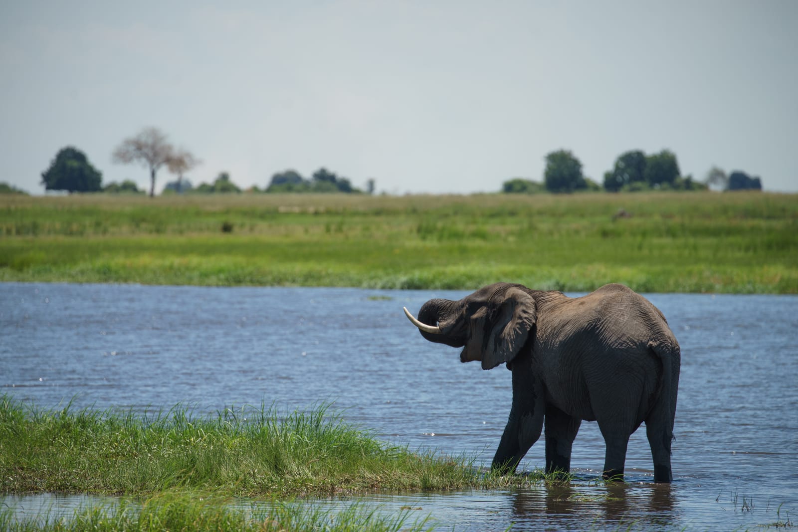 Michael Bonocore Botswana 2