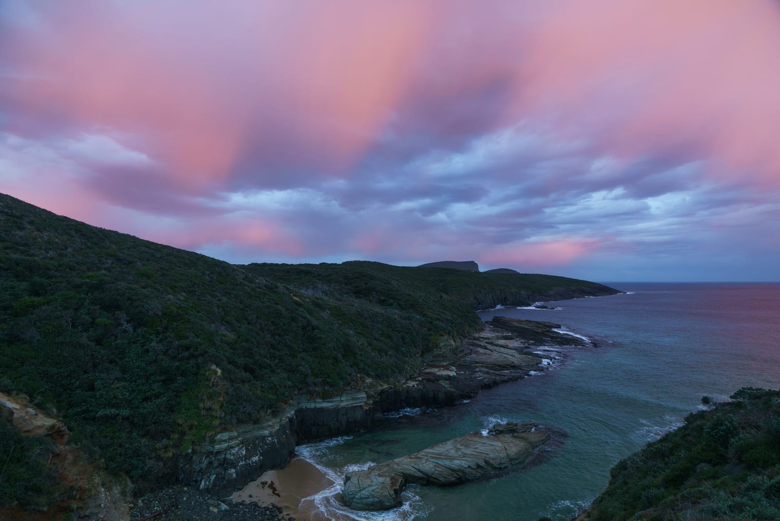 Michael Bonocore Tasmania