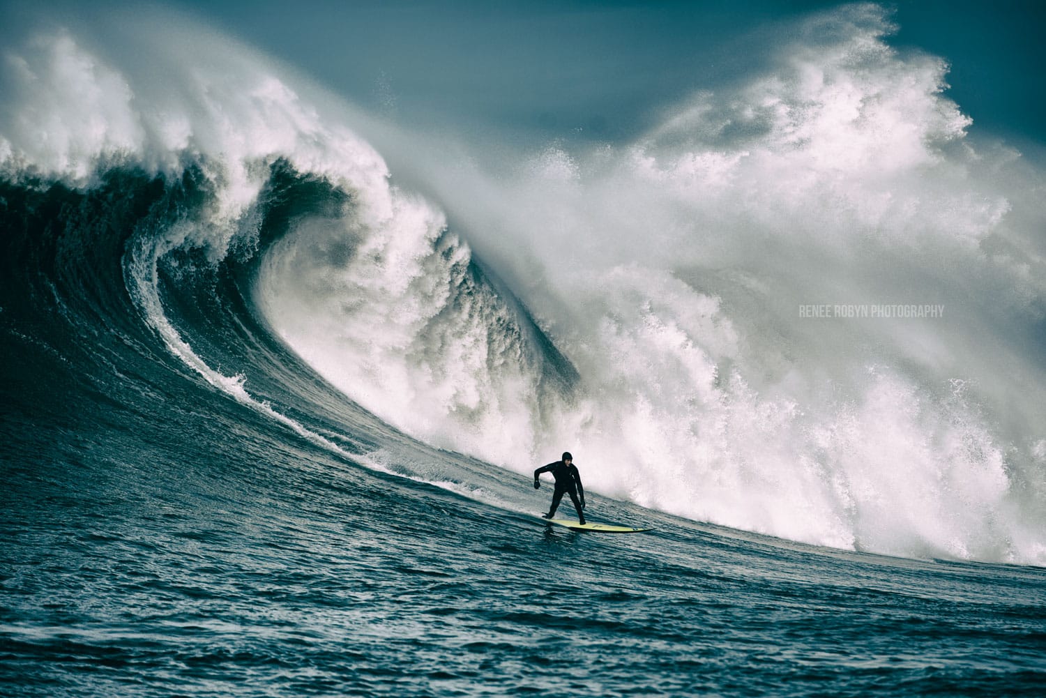 Mavericks Wave Renee Robyn 14