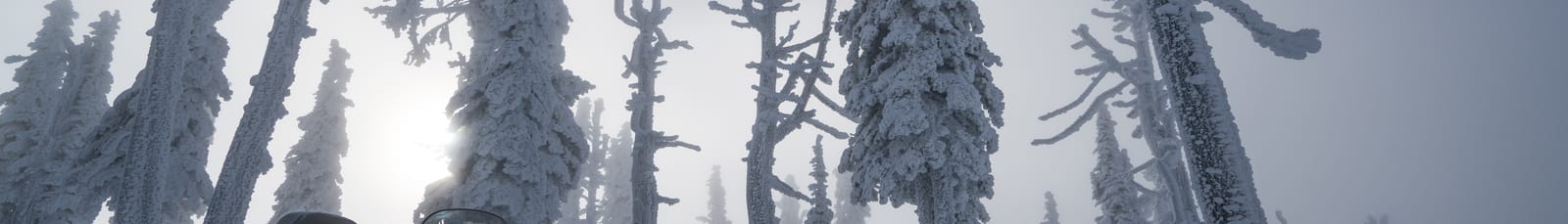 DSC09778-3840x2561