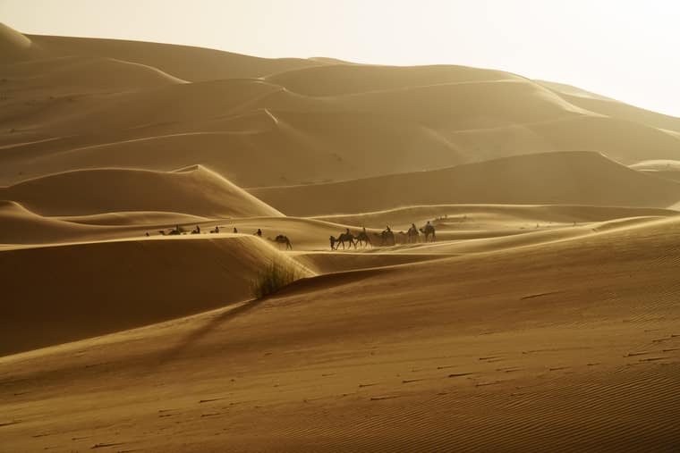 40 Photos That Show The Colorful Adventures Of Morocco