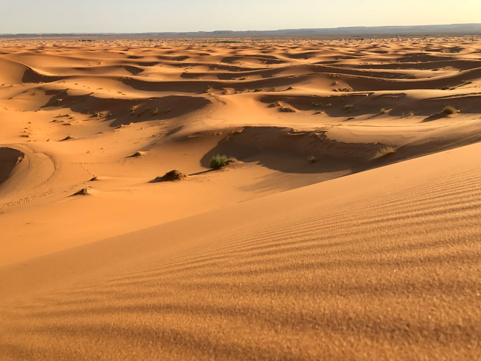 morocco-iphone-7-plus-michael-bonocore-107