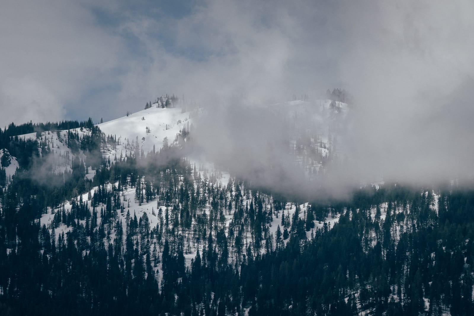 9 Must-See Destinations in Idaho During the Spring