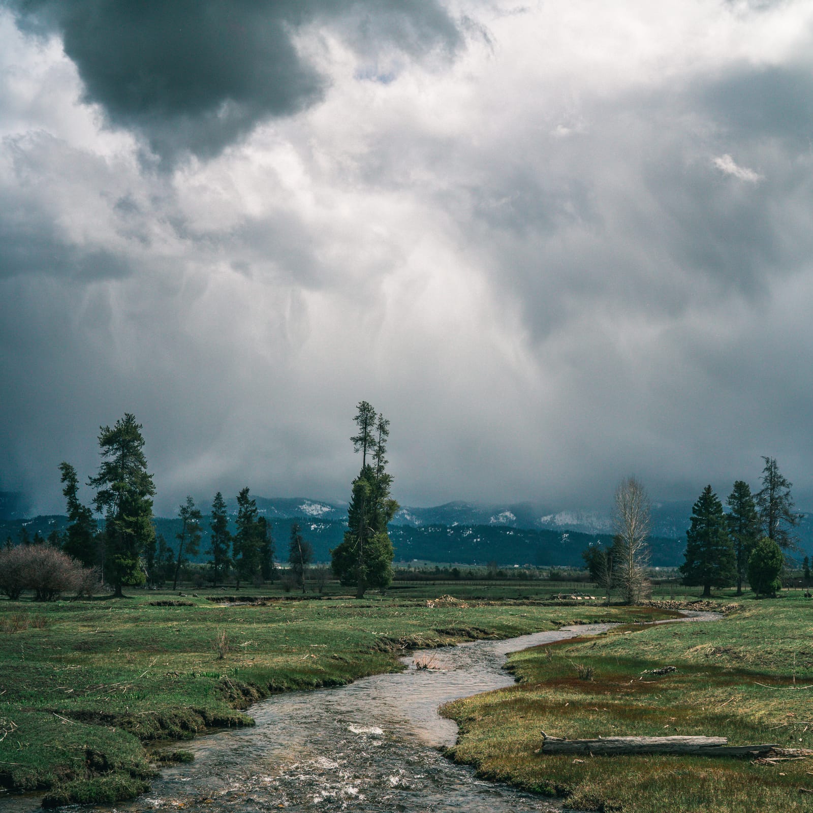 9 Must-See Destinations in Idaho During the Spring