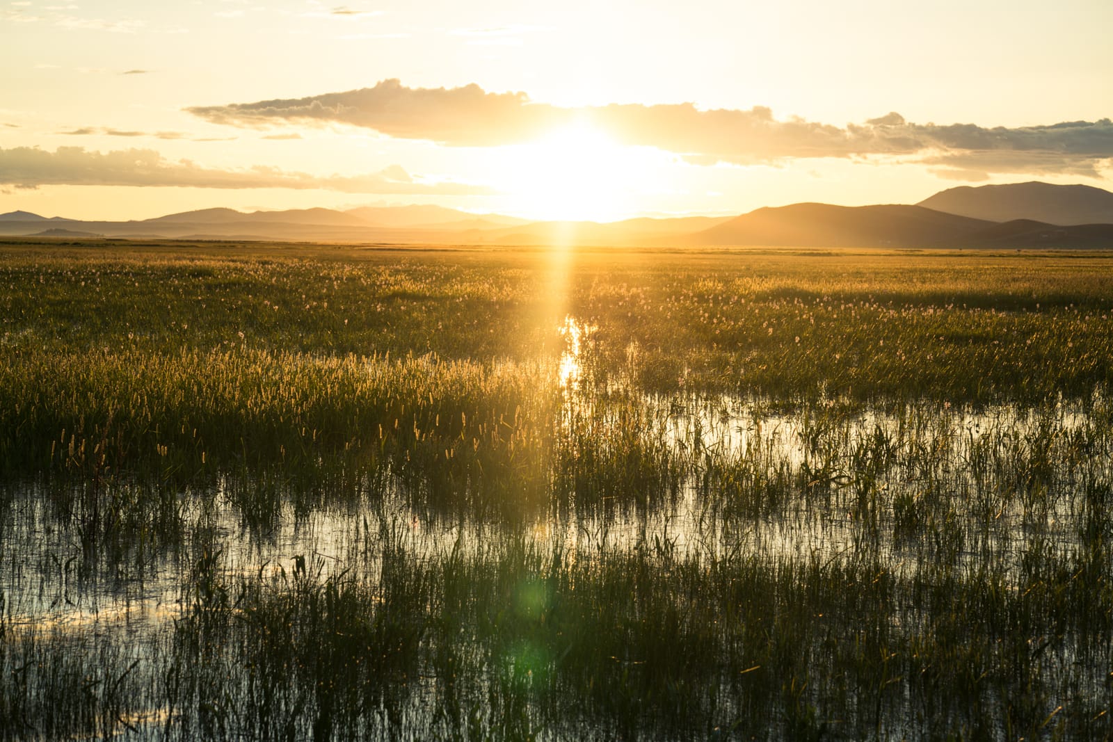 9 Must-See Destinations in Idaho During the Spring