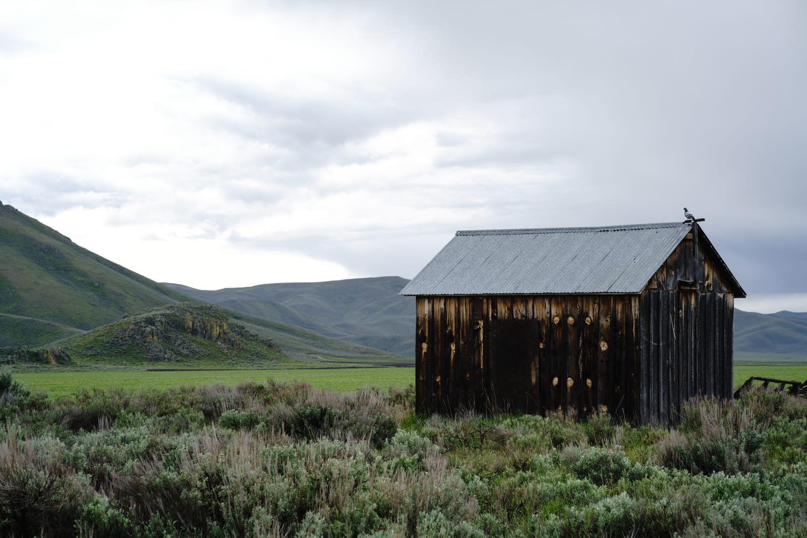 9 Must-See Destinations in Idaho During the Spring