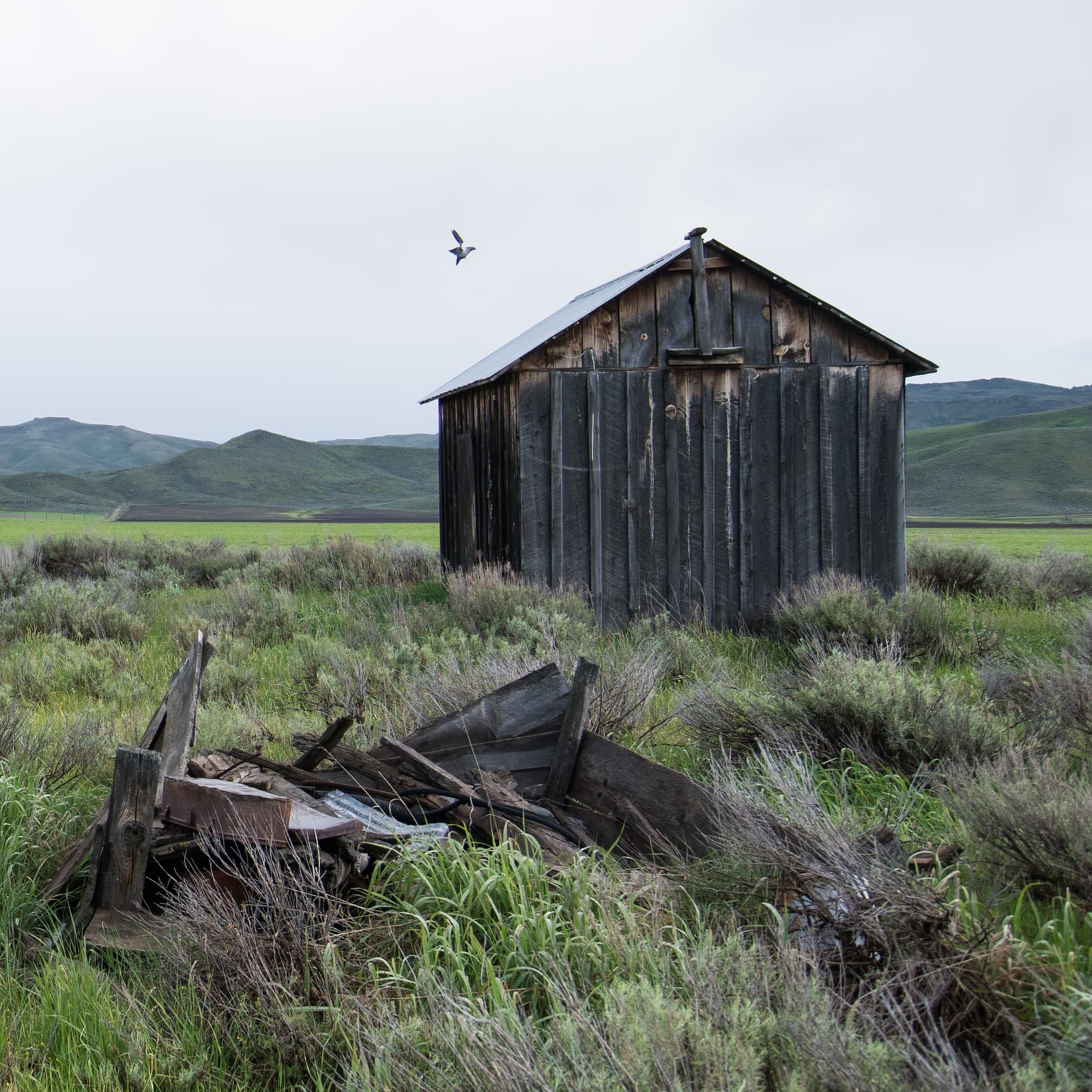 9 Must-See Destinations in Idaho During the Spring