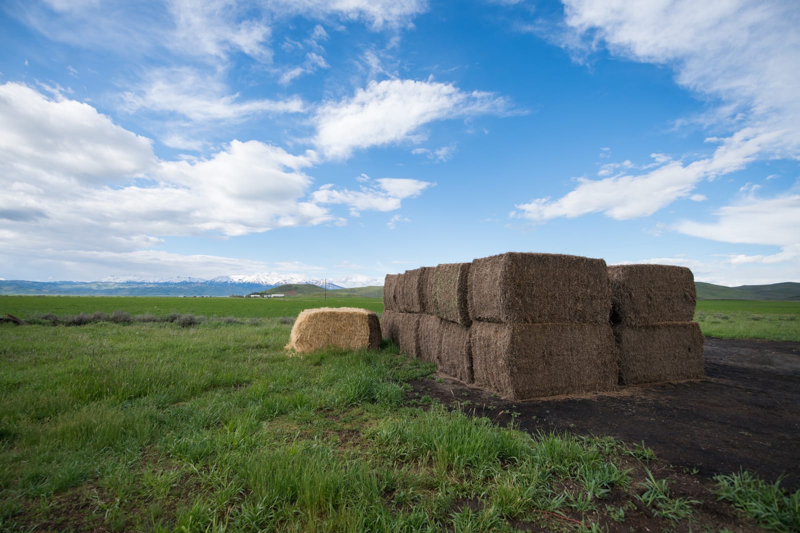 9 Must-See Destinations in Idaho During the Spring