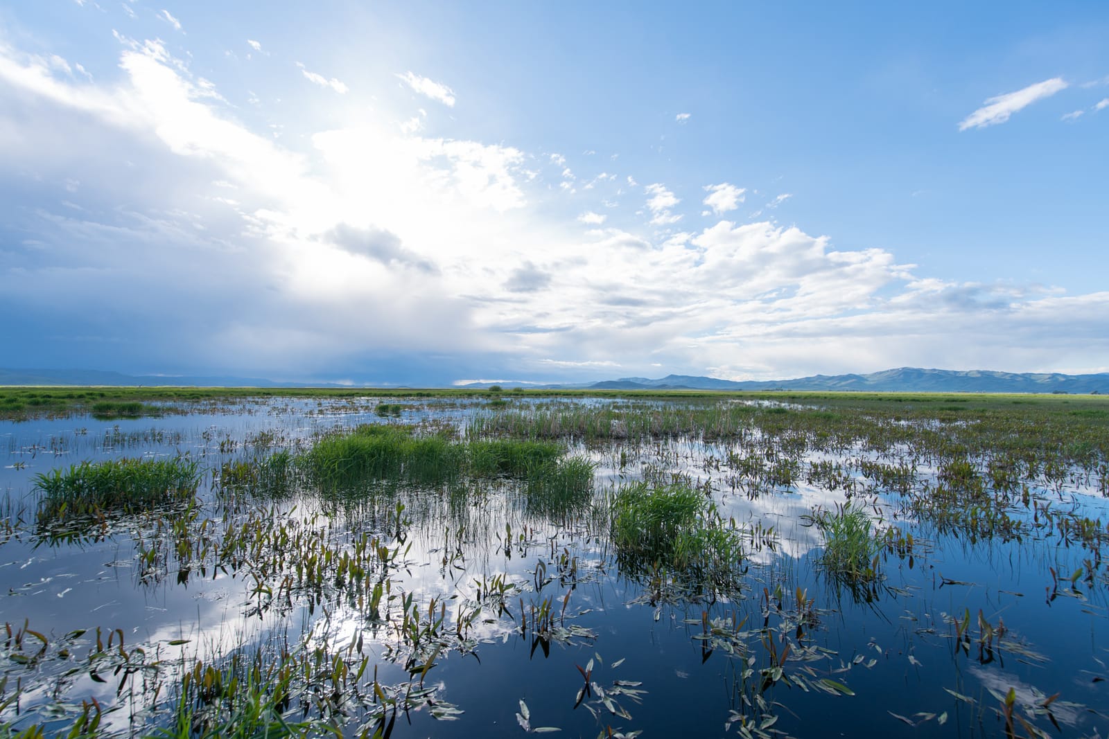 9 Must-See Destinations in Idaho During the Spring