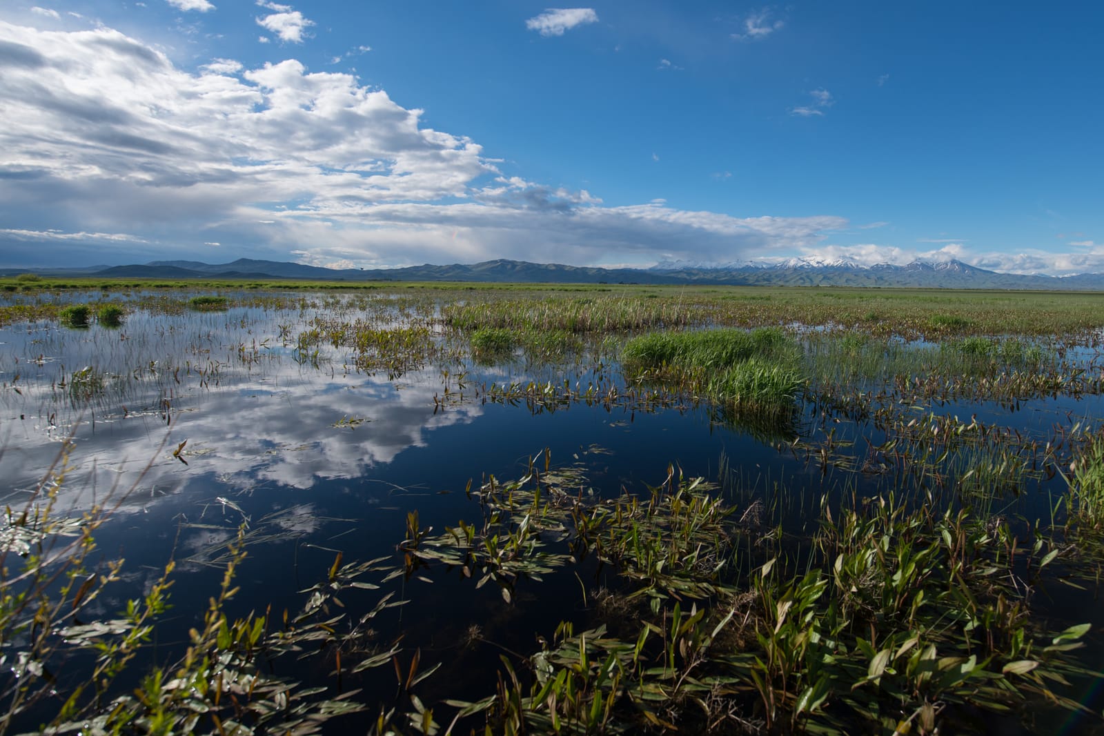 9 Must-See Destinations in Idaho During the Spring