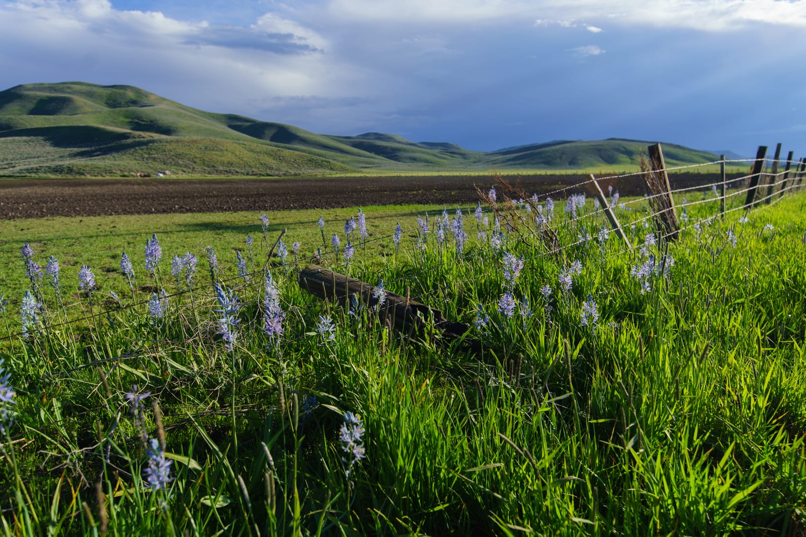 9 Must-See Destinations in Idaho During the Spring