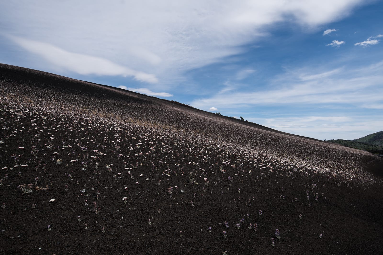 9 Must-See Destinations in Idaho During the Spring