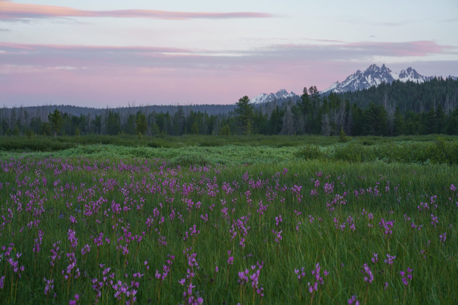 9 Must-See Destinations in Idaho During the Spring