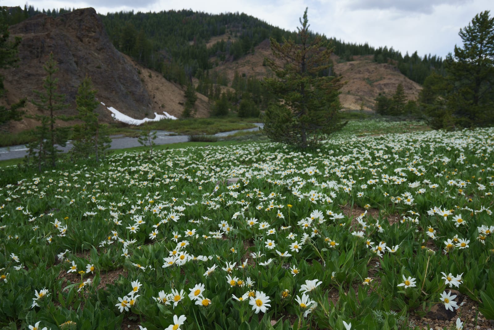 9 Must-See Destinations in Idaho During the Spring