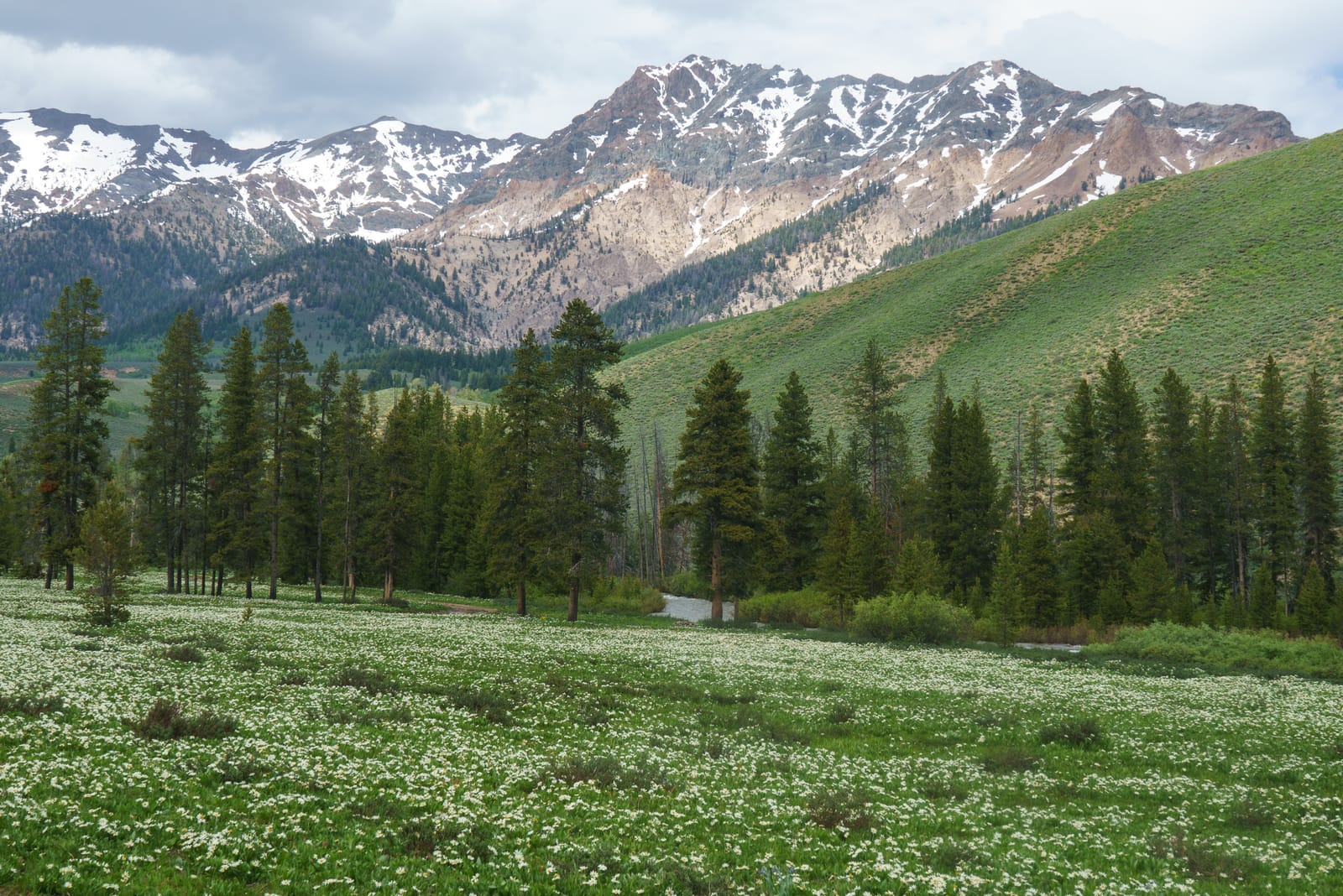 9 Must-See Destinations in Idaho During the Spring