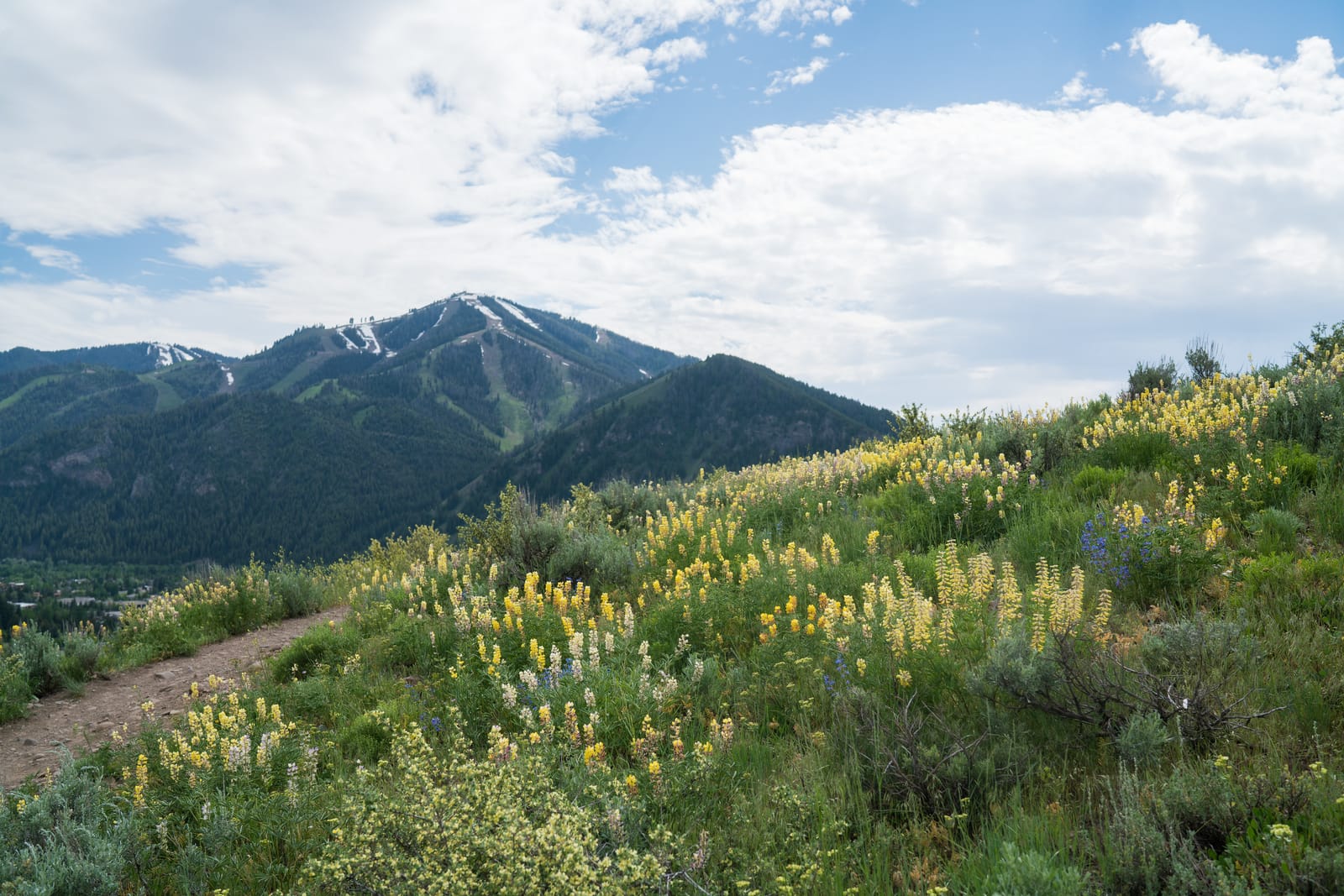 9 Must-See Destinations in Idaho During the Spring