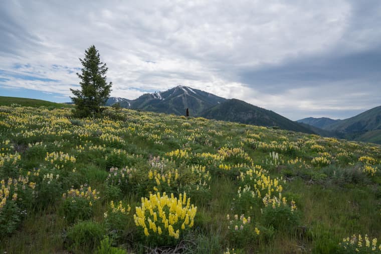 9 Locations To Visit During Spring in Idaho
