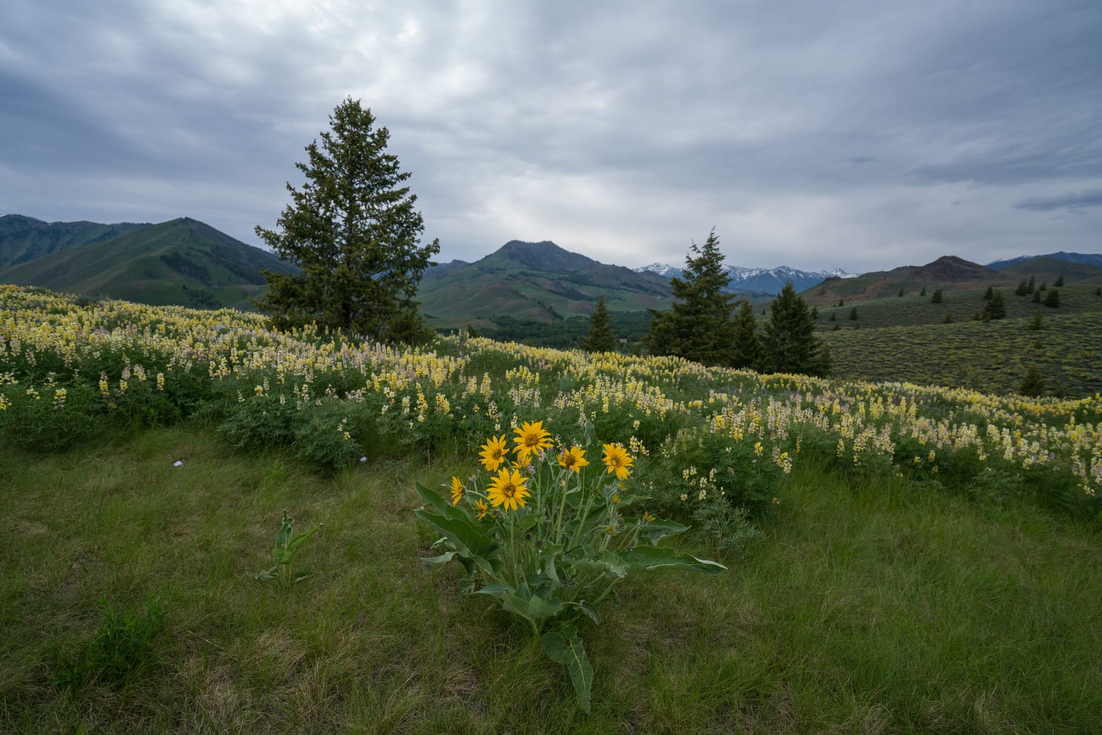9 Must-See Destinations in Idaho During the Spring