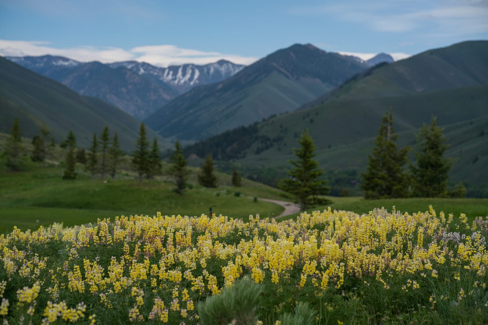 9 Must-See Destinations in Idaho During the Spring