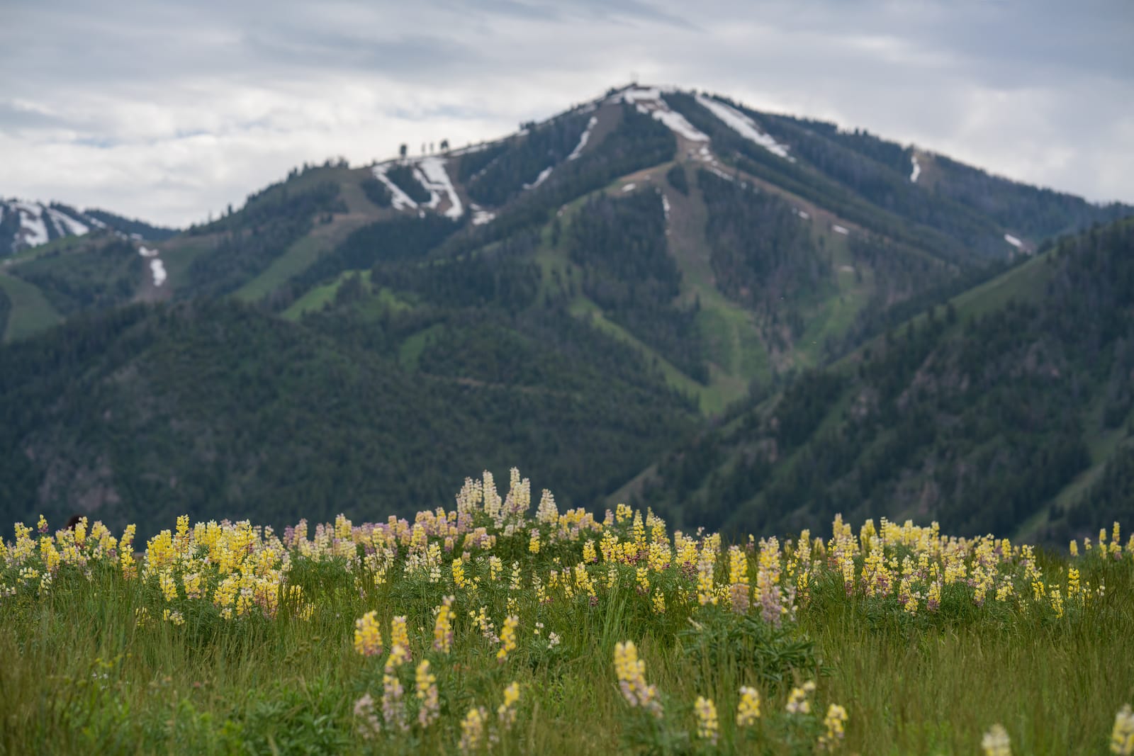 9 Must-See Destinations in Idaho During the Spring