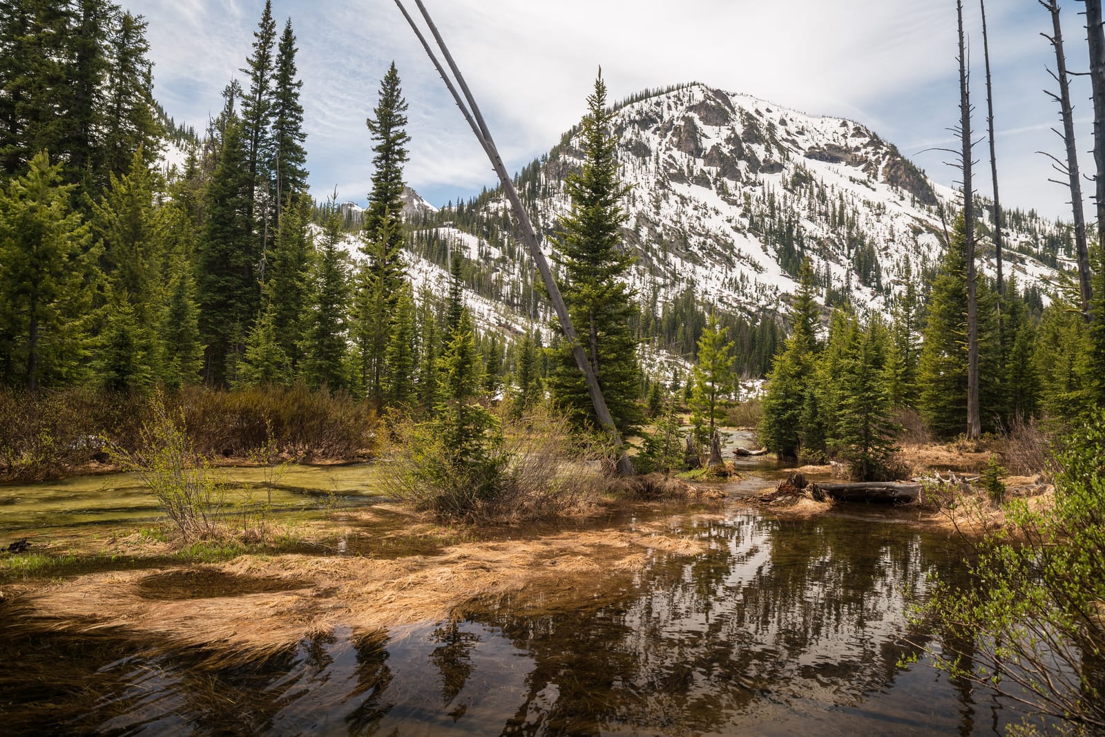 9 Must-See Destinations in Idaho During the Spring