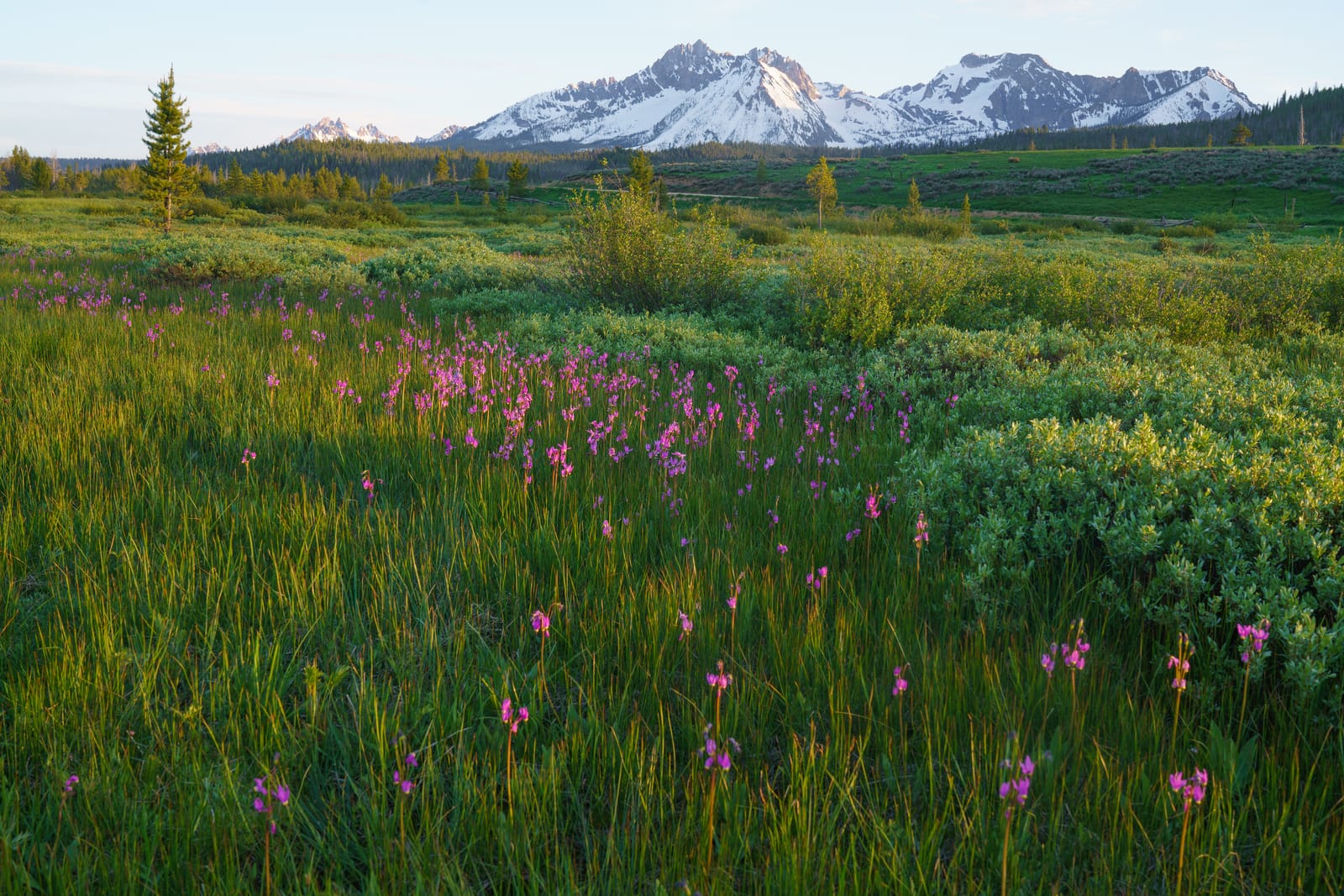 9 Must-See Destinations in Idaho During the Spring