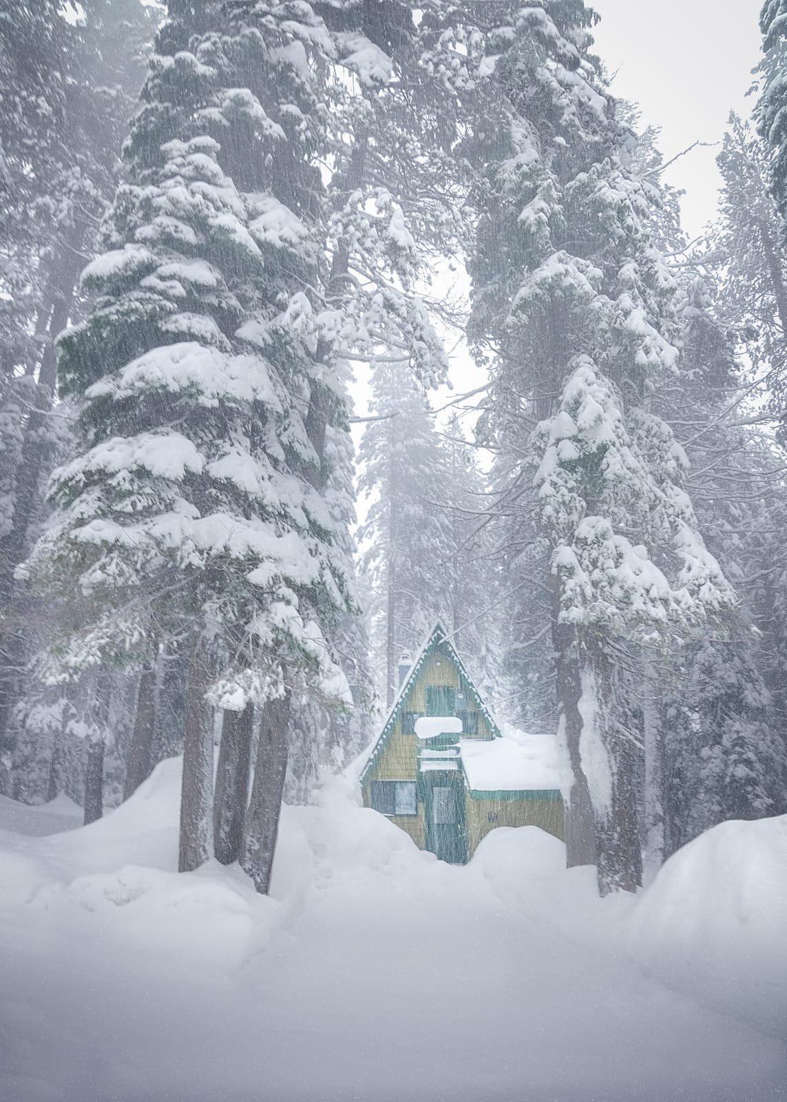 Meet the 16 Creatives in AdoramaTV’s ‘Through The Lens: Back In The USA’