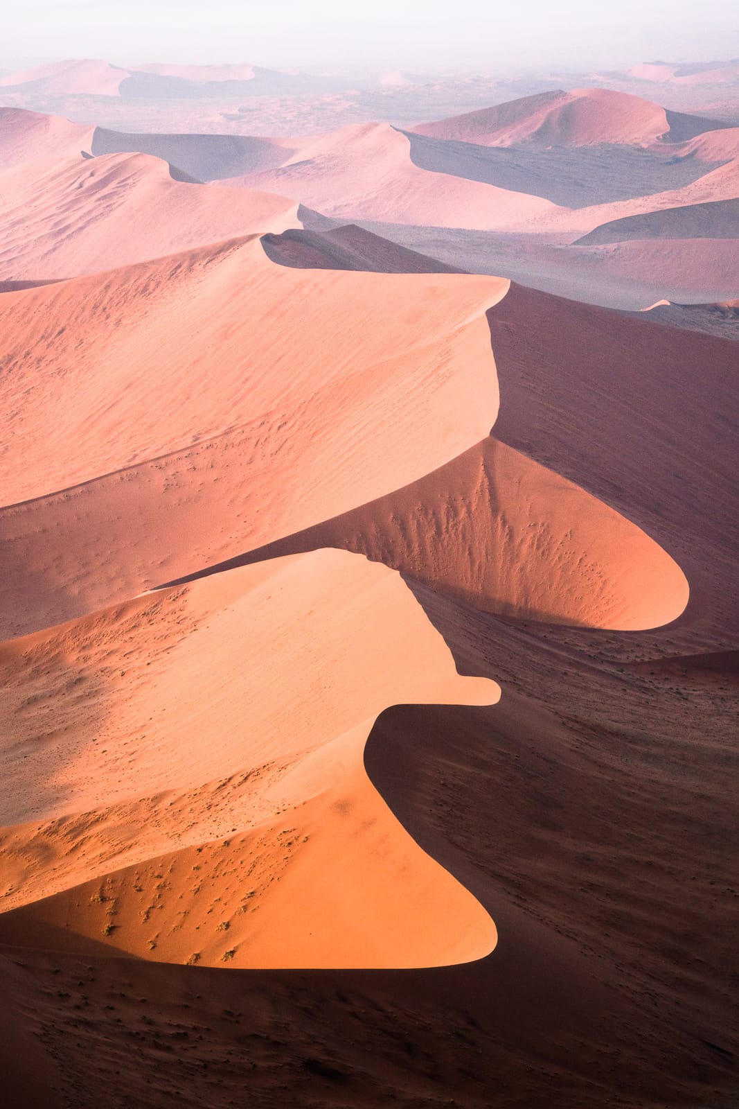 Meet the 16 Creatives in AdoramaTV’s ‘Through The Lens: Back In The USA’