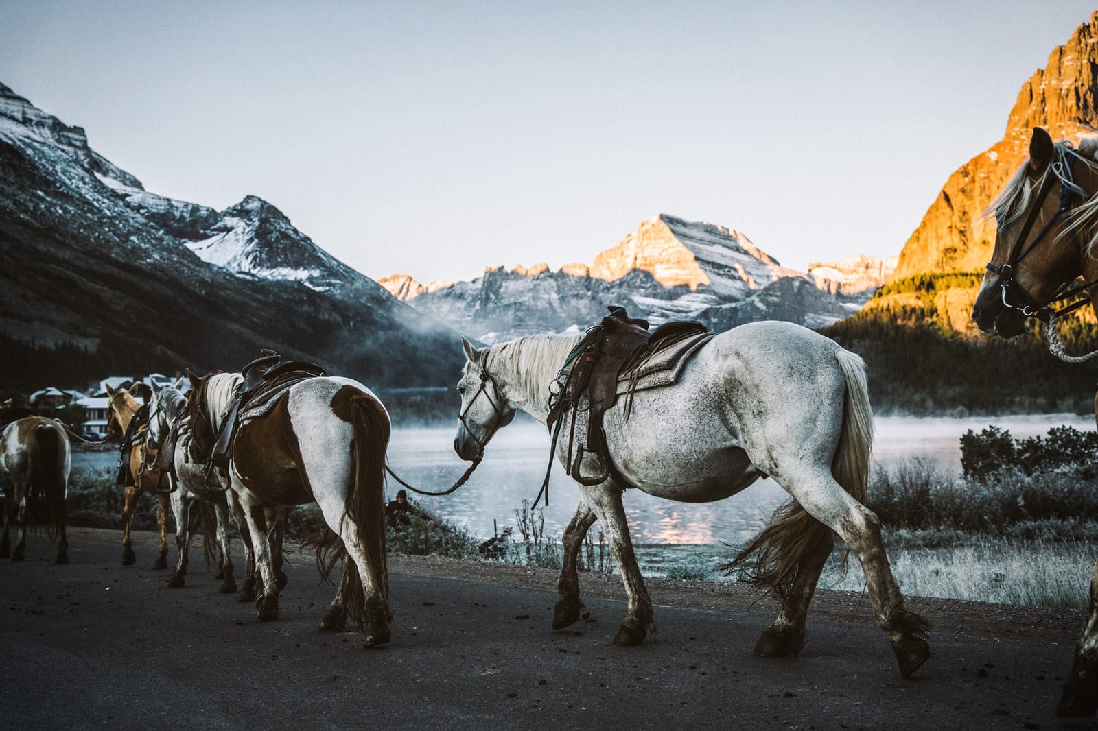 Meet the 16 Creatives in AdoramaTV’s ‘Through The Lens: Back In The USA’