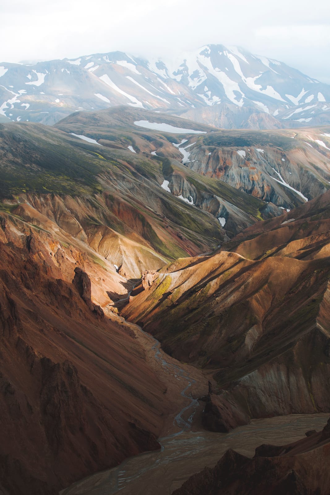 Meet the 16 Creatives in AdoramaTV’s ‘Through The Lens: Back In The USA’