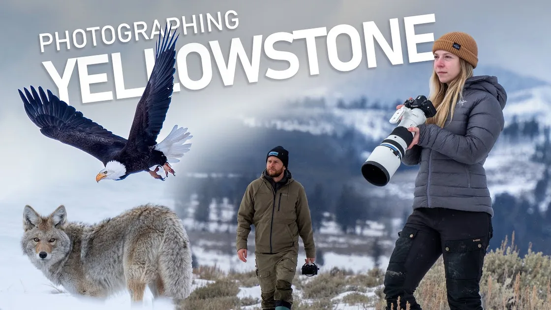 Photographing the Winter Wildlife of Yellowstone