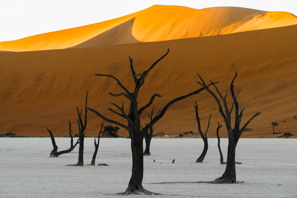 Deadvlei Namibia