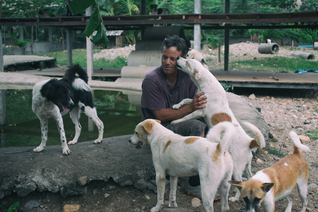 Darrick, Lek's husband, goes into the dog runs almost every day to say greet his 500 friends. 