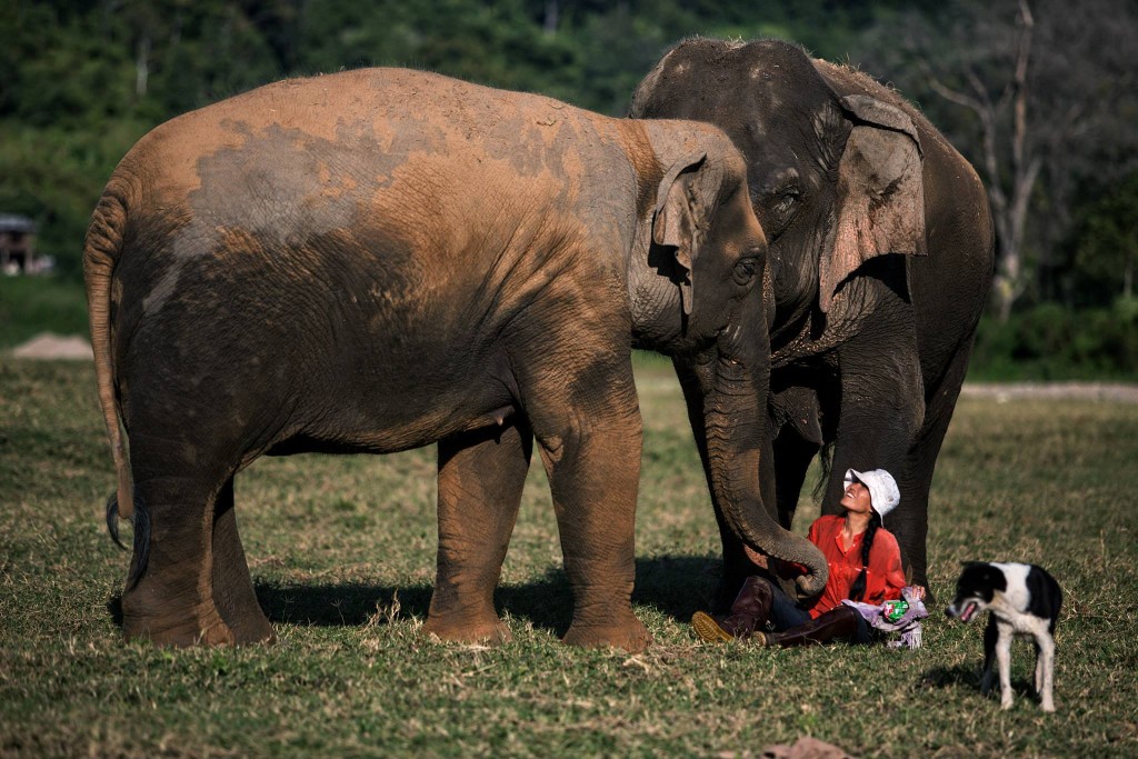 Elephant Nature Park Lek Chailert 1