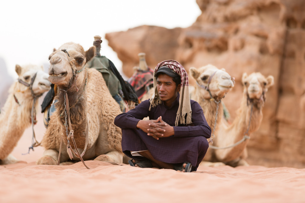 Wadi Rum Jordan Camels Portrait Michael Bonocore