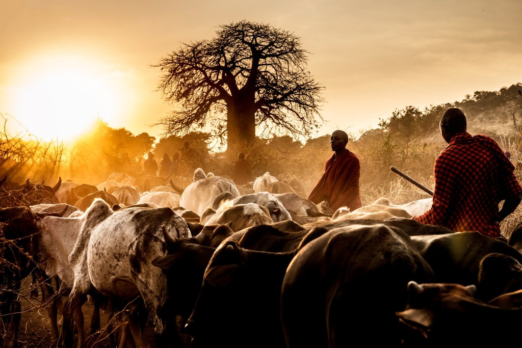 Andreas Sigrist Tanzania The Giving Lens 3