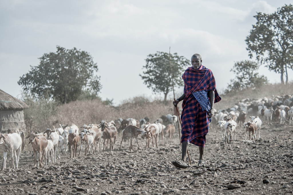 Meagan Corlin Brogan Tanzania End of the Long Day