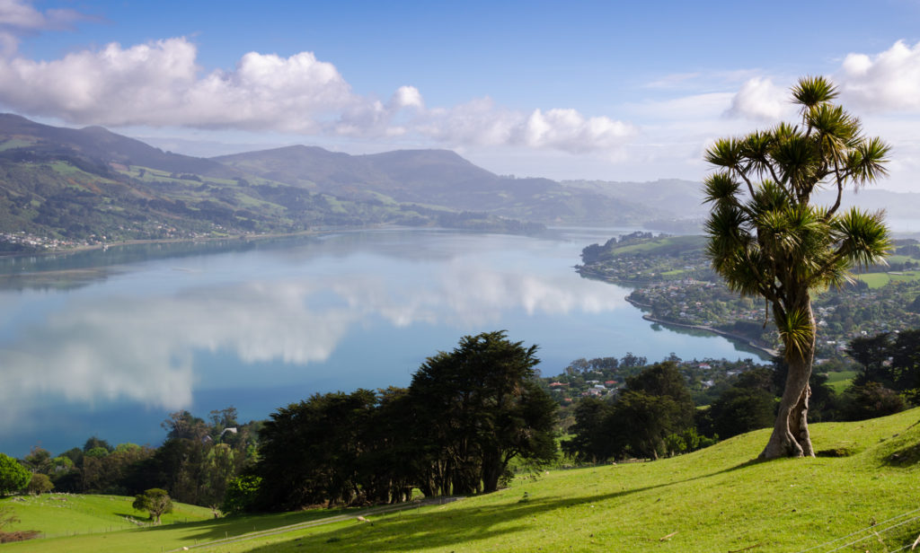 Otago Harbour, South Island, New Zealand, Otago Peninsula, South Island, New Zealand