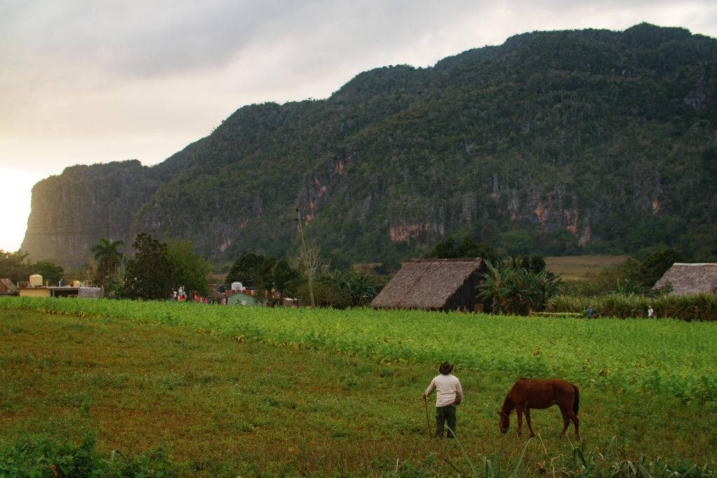 Michael Bonocore Cuba Vinales2016-16-Edit-3