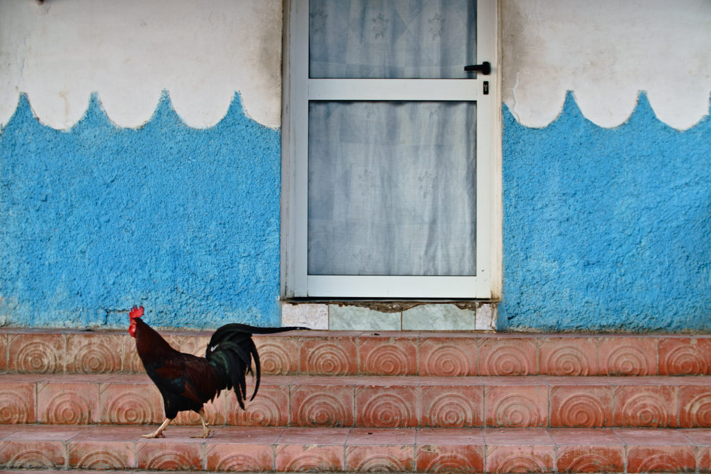 Michael Bonocore Cuba2016-412-Edit