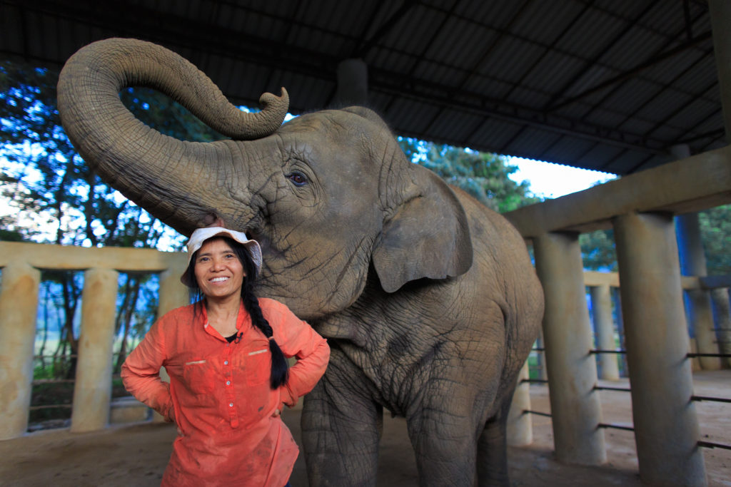 Elephant Nature Park, Chiang Mai, Thailand