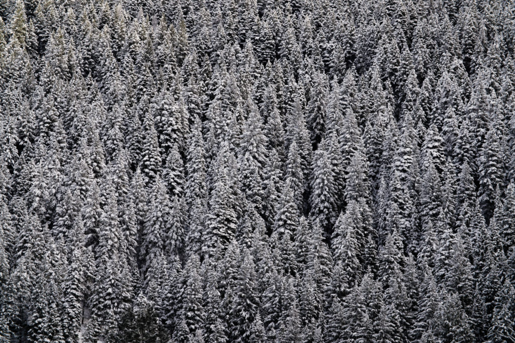 idaho-cascade-michael-bonocore-2